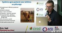 Cature de la vidéo : "Le lait local au cœur de la stratégie de sécurité alimentaire en Afrique de l’Ouest" © CIRAD
