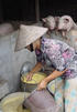 Elevage porcin périurbain à Hanoi, Vietnam. © Cirad, V.Porphyre