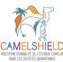 Logo CamelShield