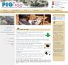 Site web PigTrop