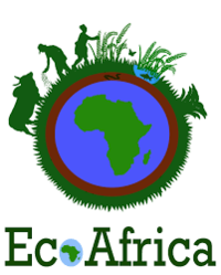 © Ecoafrica
